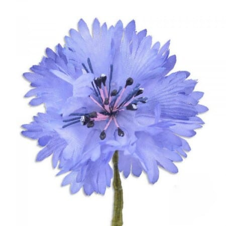 Una foto de una flor de ojal de aciano azul Seda