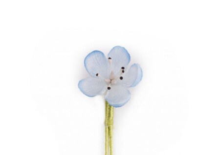 Flor de botão azul claro Veronica Persica Boutonniere