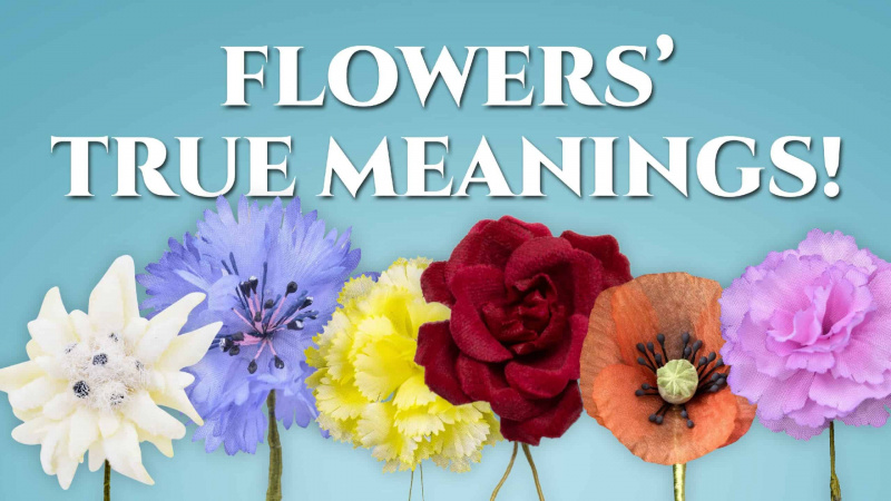 Os verdadeiros significados das flores, revelados!