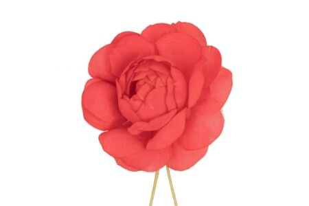 Raudona Camellia Boutonniere sagos gėlė