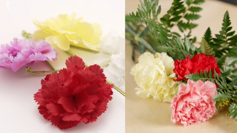 Boutonnieres od umjetnih karanfila i prirodno cvijeće od karanfila