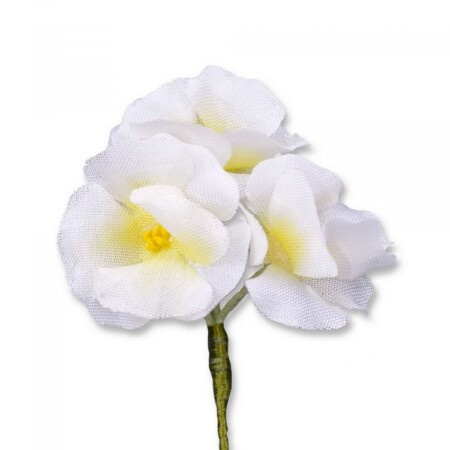 Flor branca de botoeira Phlox Boutonniere