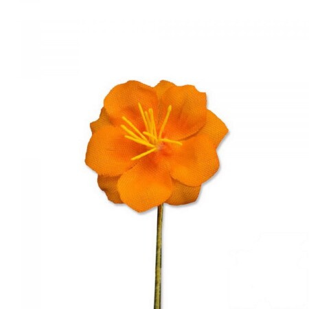 Oranžová exotická karibská boutonniere knoflíková dírka květina pevnost Belvedere