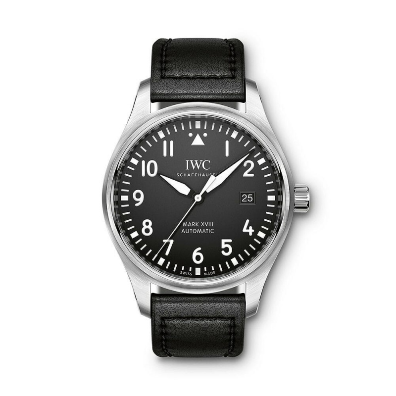 IWC Pilot Collection Watch