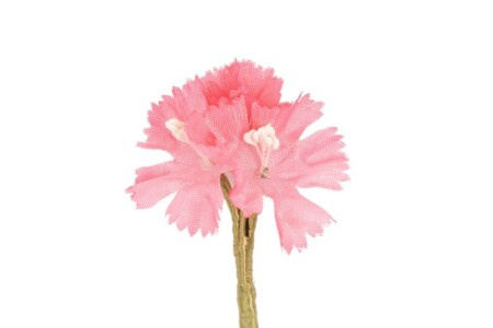 Fleur de boutonnière boutonnière triple clou de girofle rose