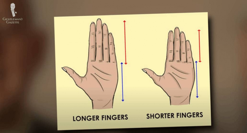 Conheça seus dedos