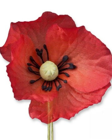 Crveni svileni mak Boutonniere Cvijet za Dan sjećanja utvrde Belvedere