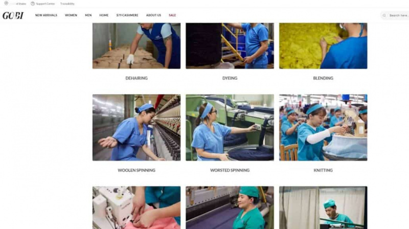 Galerie de photos complète de Gobi sur leur processus de production de cachemire.
