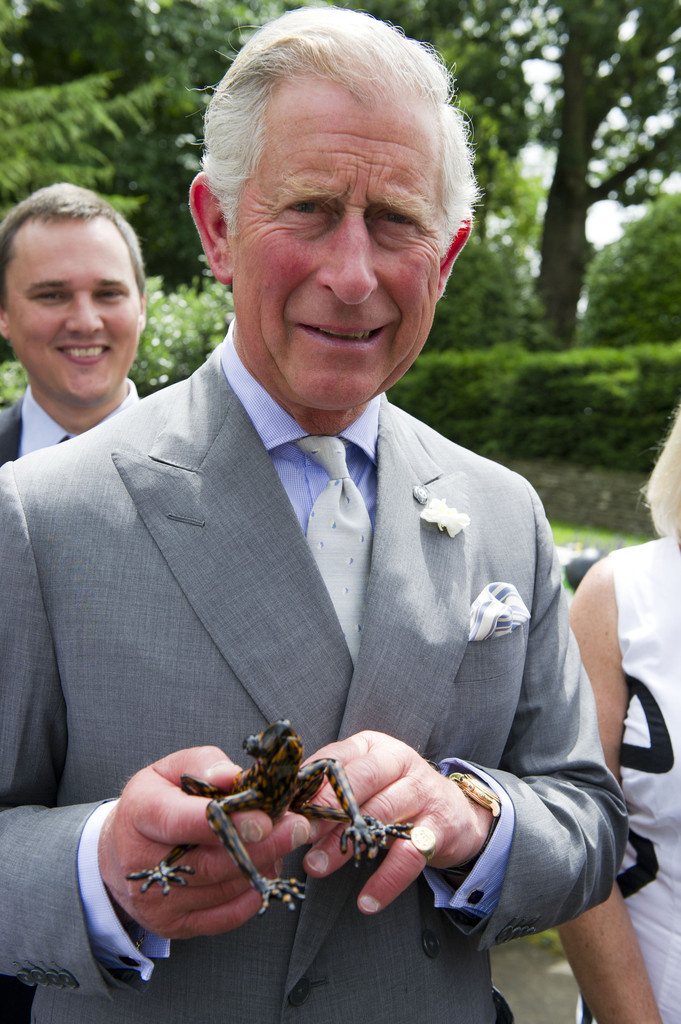 Princ Charles si v průběhu let vytvořil charakteristický vzhled, který zahrnuje dvouřadé obleky s klopou a jeho pečetní prsten Prince of Wales.