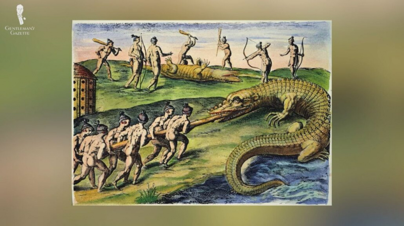 Les membres de la tribu Timucua chassant les crocodiles, une célèbre gravure de Theodore De Bry en 1591 [Image Credit: The Granger Collection, NY]