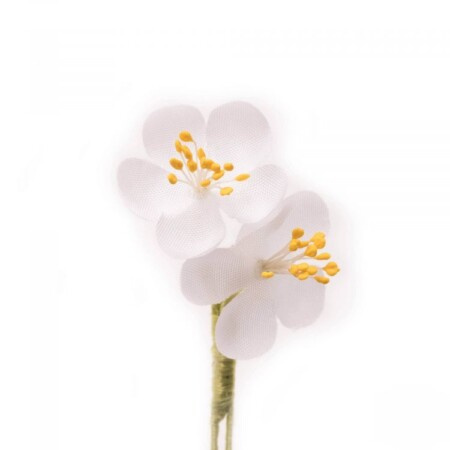 Flor de cerejeira branca lapela flor flor de lapela de flor de cerejeira branca Belvedere