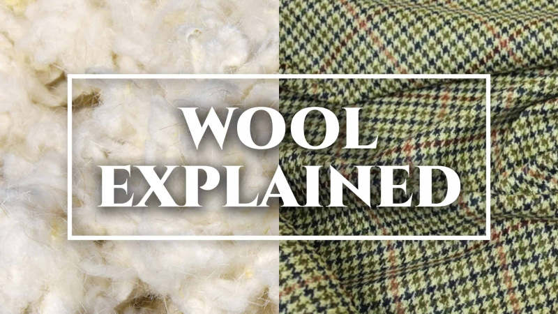lana spiegato in scala 3840x2160