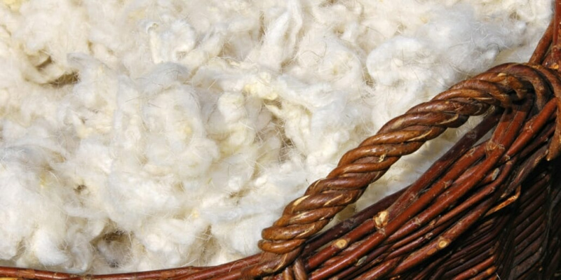 A lã tem muitas propriedades úteis além do isolamento