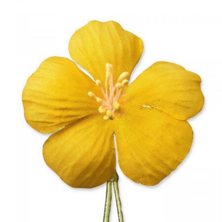 Žuti egzotični karipski gumb s rupicama za gumb, cvijet Fort Belvedere
