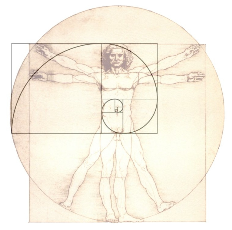 Vitruviánský muž (Da Vinci) a Zlatý řez