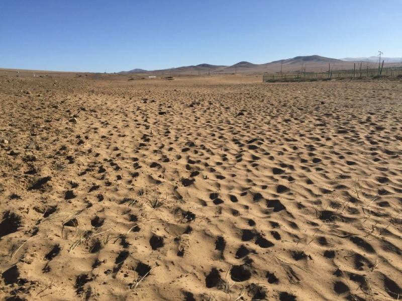 Písečné duny, kde kdysi byly pastviny v Mongolsku