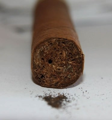 Trou de coléoptère dans un cigare