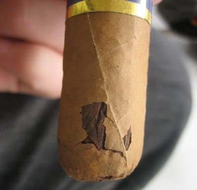 Osušena cigara