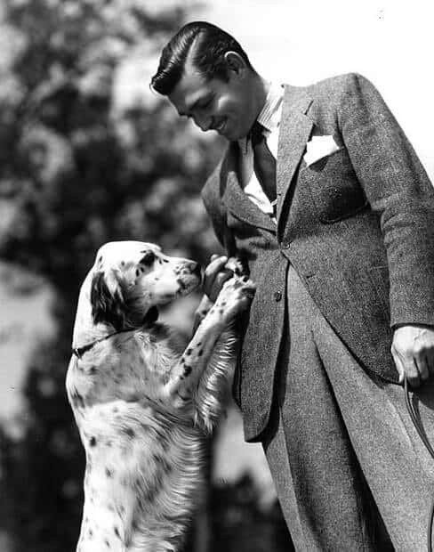 Clark Gable avec un dalmatien et un pantalon taille haute