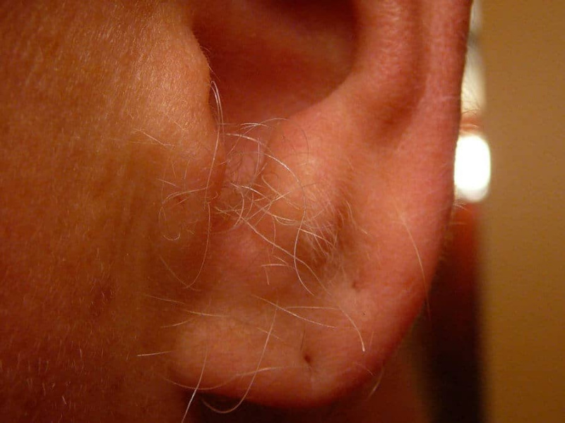 Gardez les poils des oreilles bien coupés