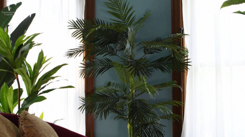 Palmen. som symboliserar rikedom och lyx, tillför elegans till alla rum.
