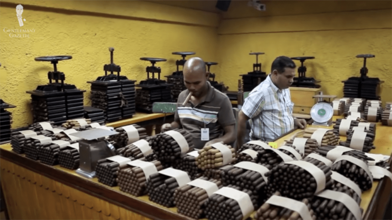 Kubánští výrobci doutníků