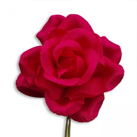 Boutonnière de rosas em spray vermelho