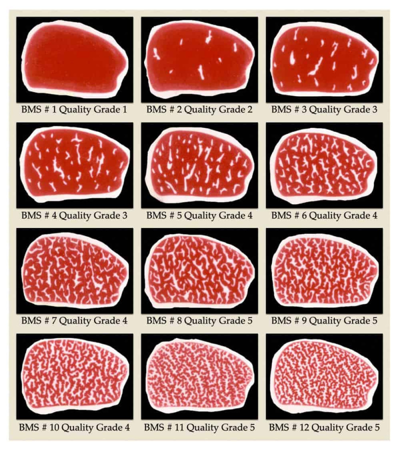 Guide de marbrure de bifteck
